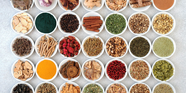 variety of herbs used in plant medicine and traditional chinese medicine