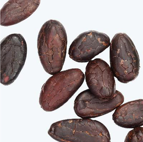 ing-cacao-seeds